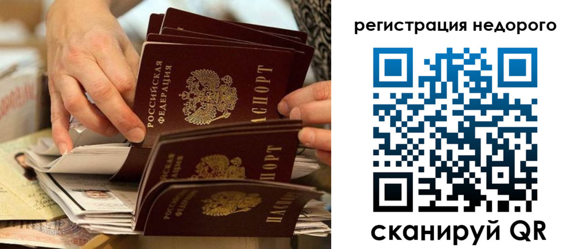 прописка в квартире в Звенигово